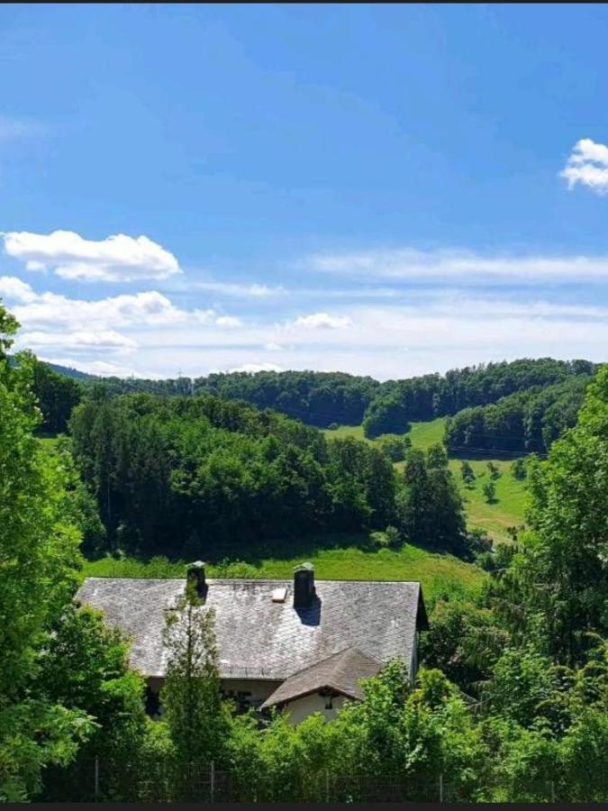 Odenwald-Lodge Mit Infrarotsauna Und E-Ladestation Im Naturpark Odenwald "Haus Himmelblau" Reichelsheim Exteriér fotografie