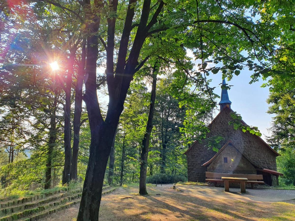 Odenwald-Lodge Mit Infrarotsauna Und E-Ladestation Im Naturpark Odenwald "Haus Himmelblau" Reichelsheim Exteriér fotografie