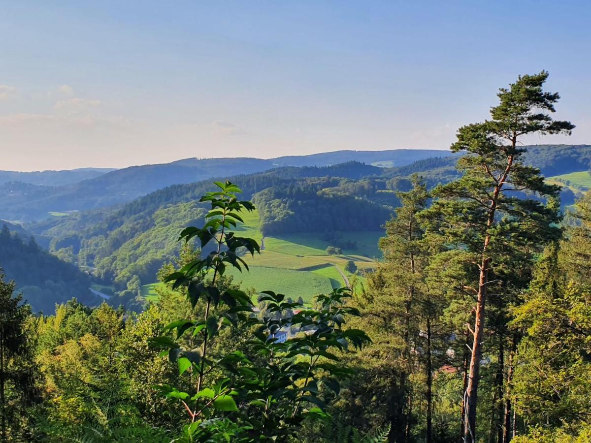 Odenwald-Lodge Mit Infrarotsauna Und E-Ladestation Im Naturpark Odenwald "Haus Himmelblau" Reichelsheim Exteriér fotografie