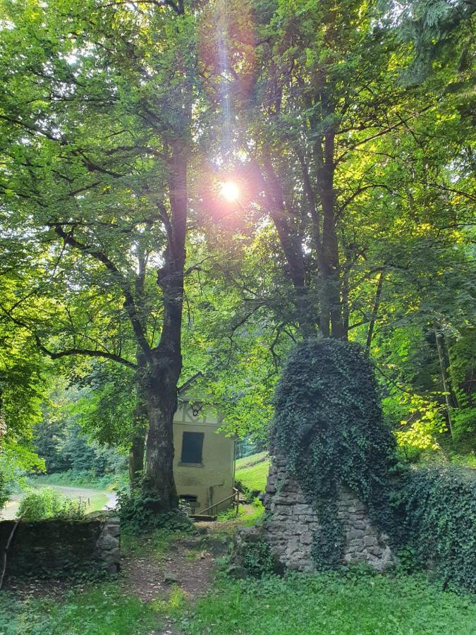 Odenwald-Lodge Mit Infrarotsauna Und E-Ladestation Im Naturpark Odenwald "Haus Himmelblau" Reichelsheim Exteriér fotografie