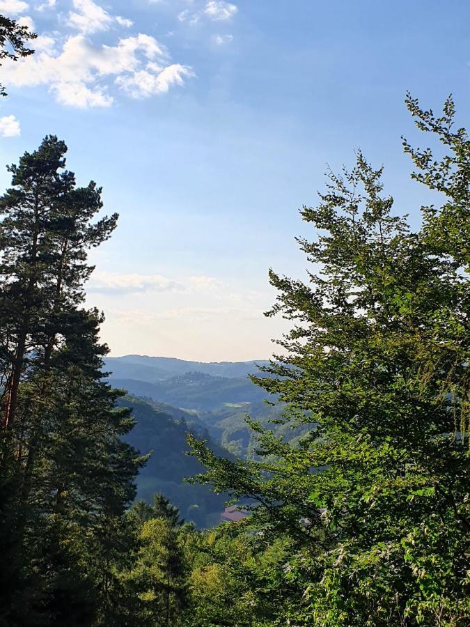 Odenwald-Lodge Mit Infrarotsauna Und E-Ladestation Im Naturpark Odenwald "Haus Himmelblau" Reichelsheim Exteriér fotografie