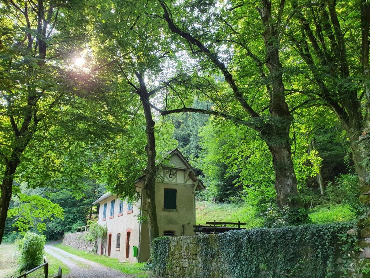 Odenwald-Lodge Mit Infrarotsauna Und E-Ladestation Im Naturpark Odenwald "Haus Himmelblau" Reichelsheim Exteriér fotografie