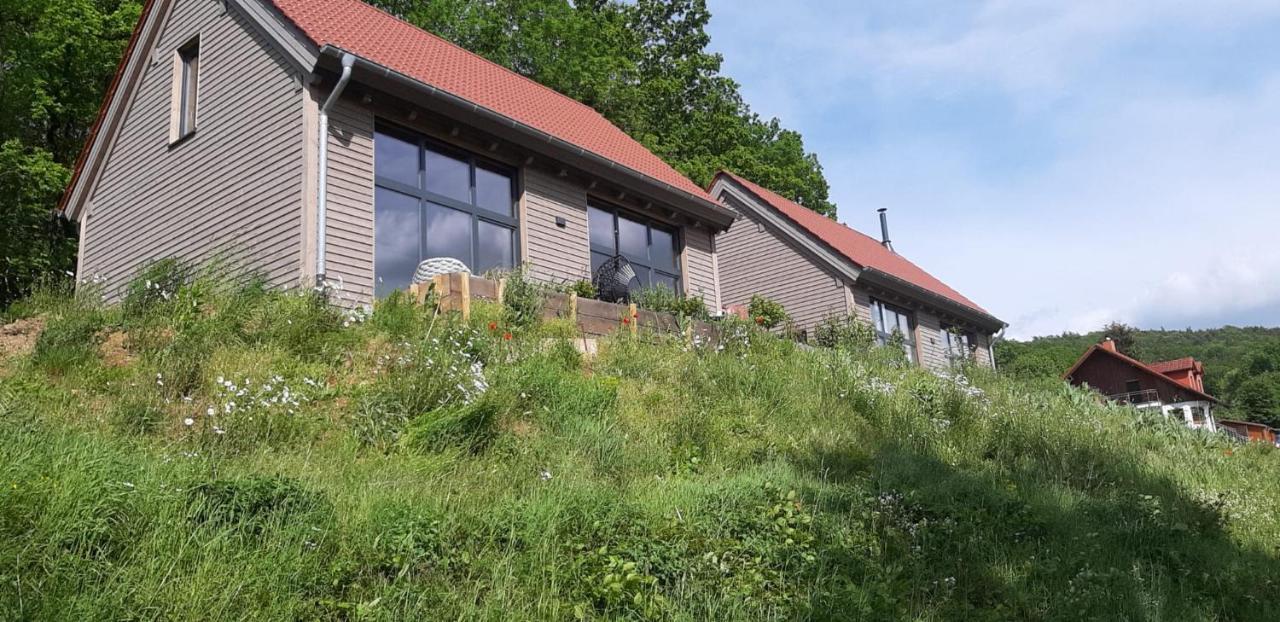 Odenwald-Lodge Mit Infrarotsauna Und E-Ladestation Im Naturpark Odenwald "Haus Himmelblau" Reichelsheim Exteriér fotografie