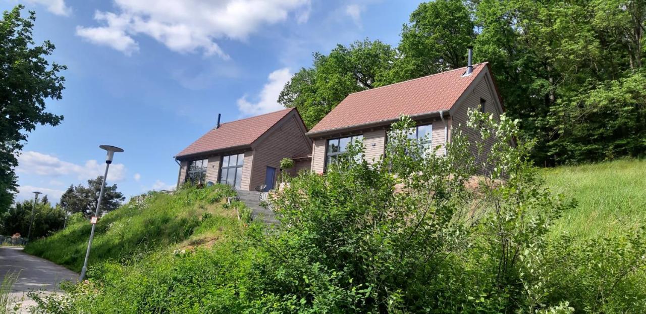 Odenwald-Lodge Mit Infrarotsauna Und E-Ladestation Im Naturpark Odenwald "Haus Himmelblau" Reichelsheim Exteriér fotografie