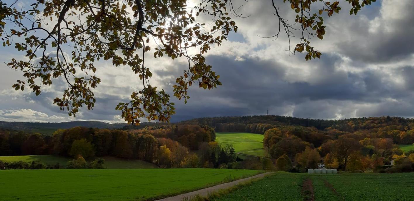 Odenwald-Lodge Mit Infrarotsauna Und E-Ladestation Im Naturpark Odenwald "Haus Himmelblau" Reichelsheim Exteriér fotografie