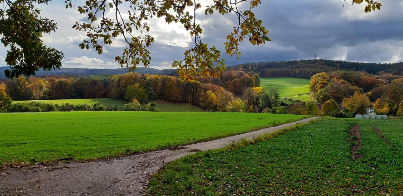 Odenwald-Lodge Mit Infrarotsauna Und E-Ladestation Im Naturpark Odenwald "Haus Himmelblau" Reichelsheim Exteriér fotografie