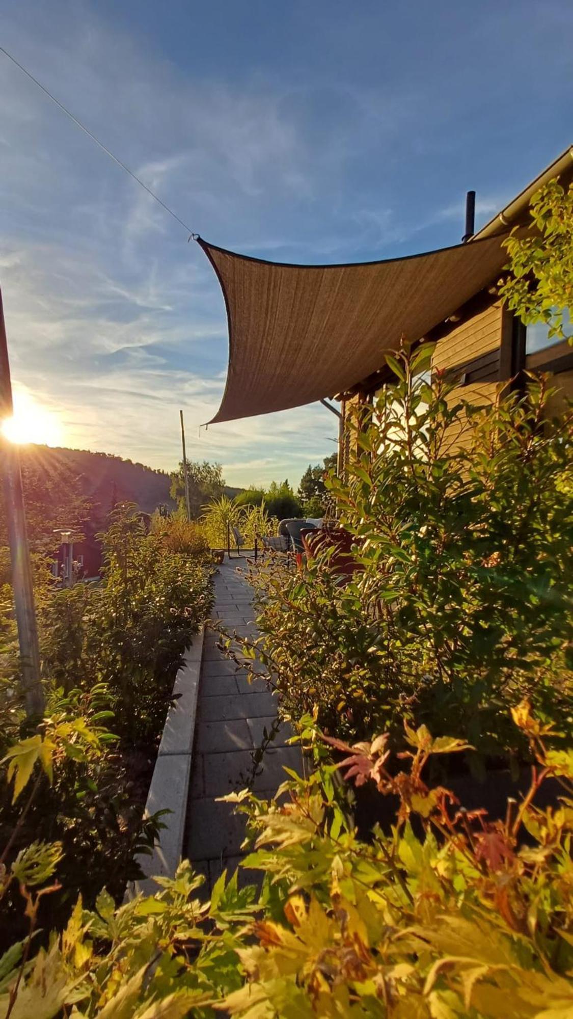 Odenwald-Lodge Mit Infrarotsauna Und E-Ladestation Im Naturpark Odenwald "Haus Himmelblau" Reichelsheim Exteriér fotografie